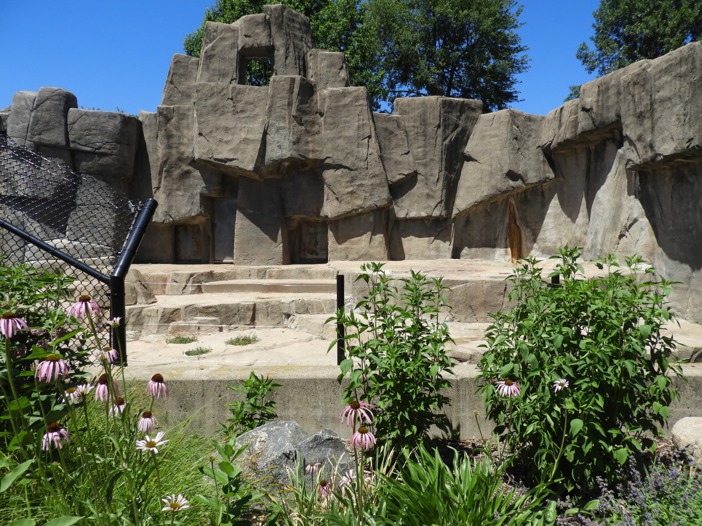 Kodiak Bear exhibit #2 (second half) - JP Adler Kodiak Bear Exhibit (New in 2015) - Wildwood Zoo