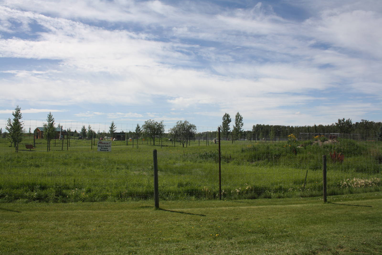 Kodiak Bear Exhibit #2
