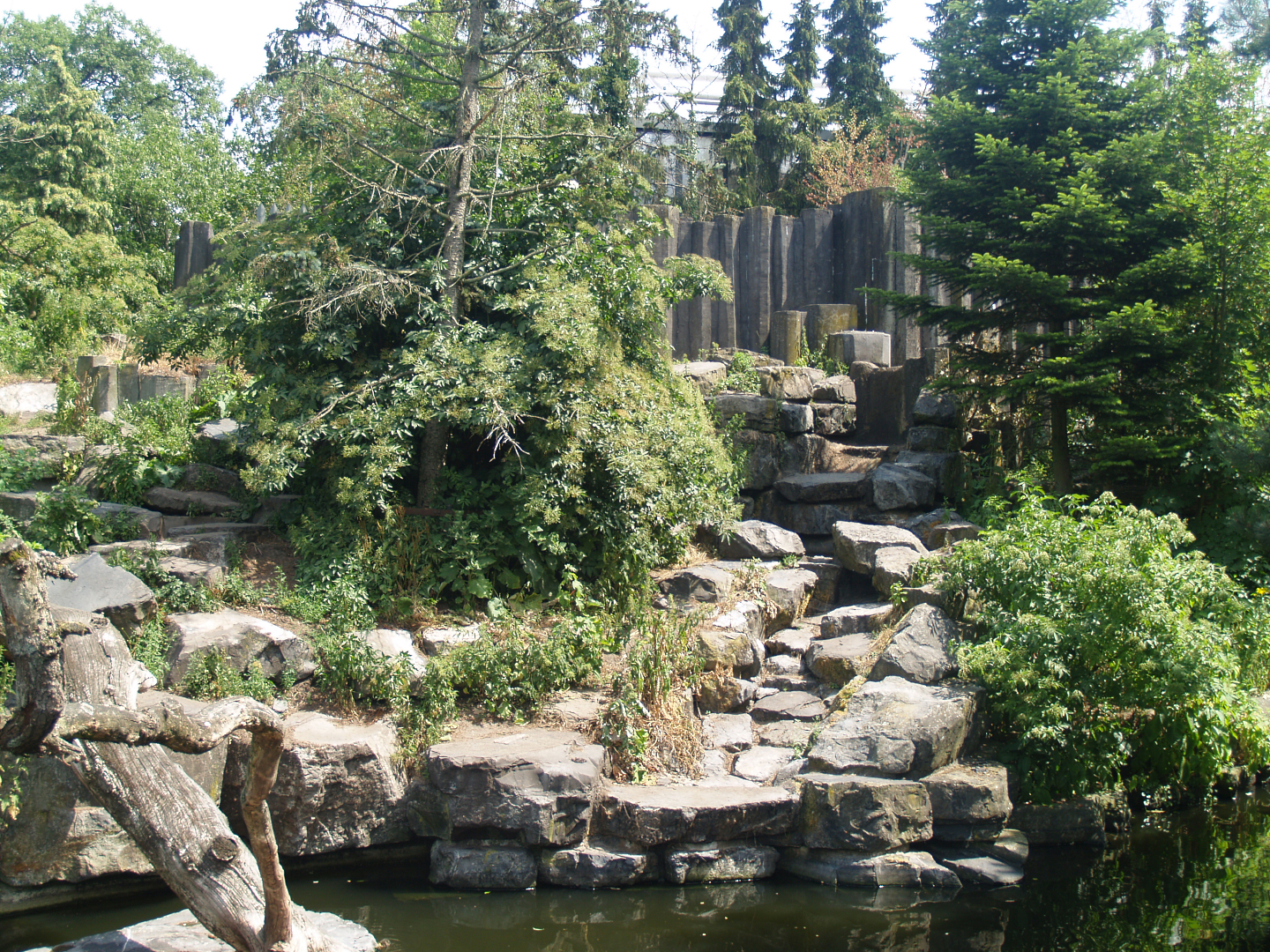 Kodiak bear exhibit, 2006-07-08