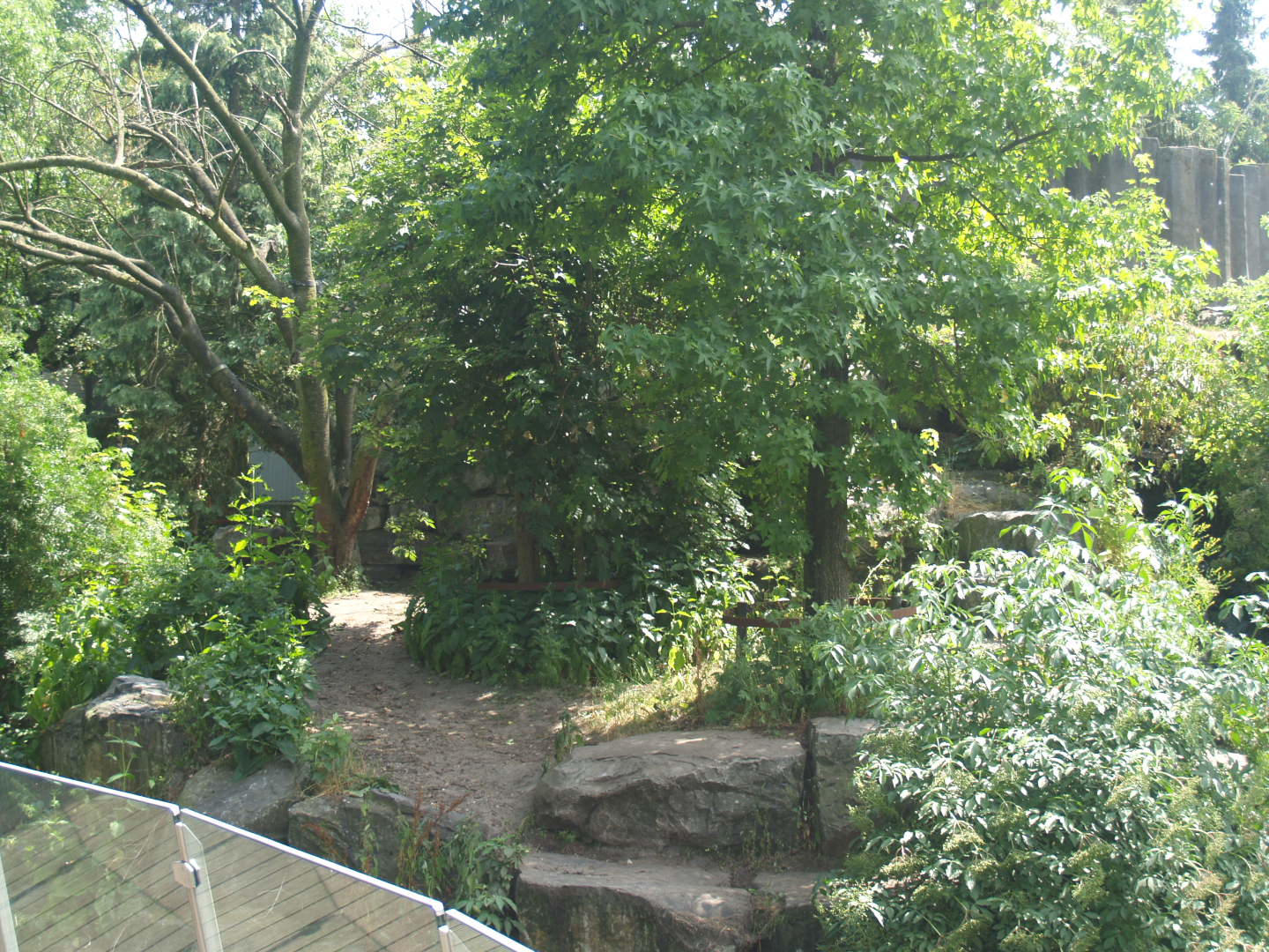 Kodiak bear exhibit, 2006-07-08
