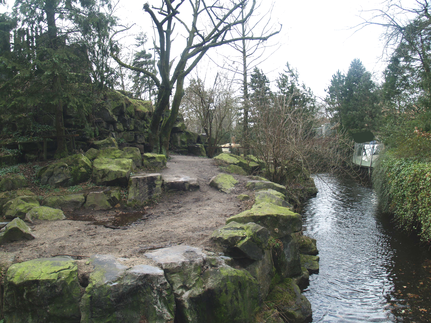 Kodiak bear exhibit, 2008-03-01