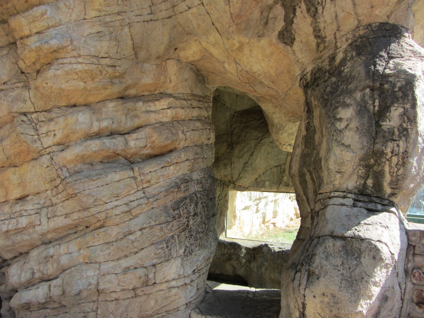 Kodiak Bear Viewing Cave