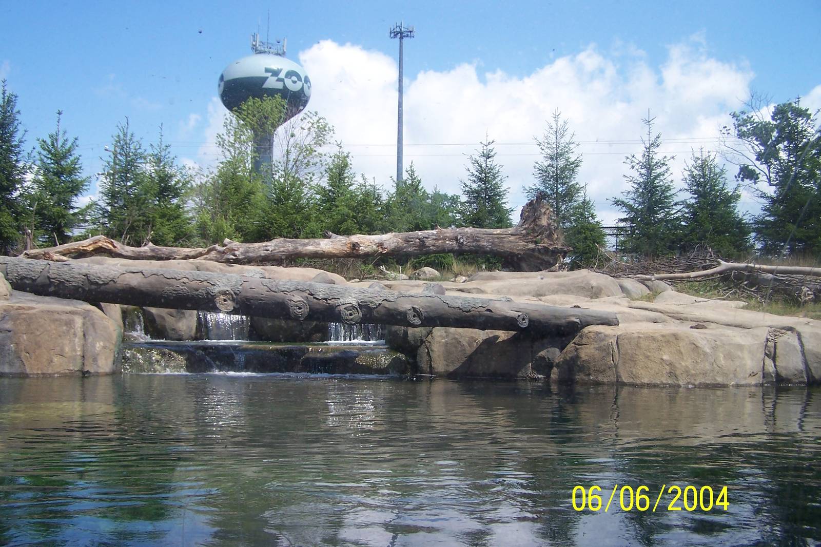 Kodiak Brown Bear Exhibit ~ Polar Frontier