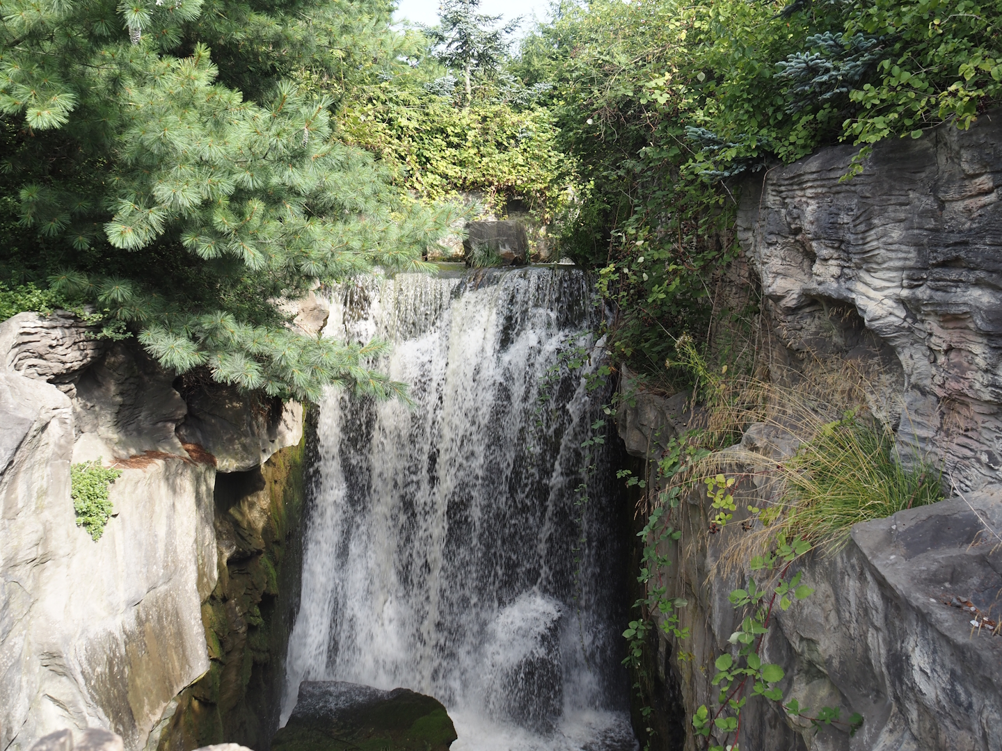 Kodiak Falls, Waterfall in Kamchatka brown bear exhibit, 2024-08-05