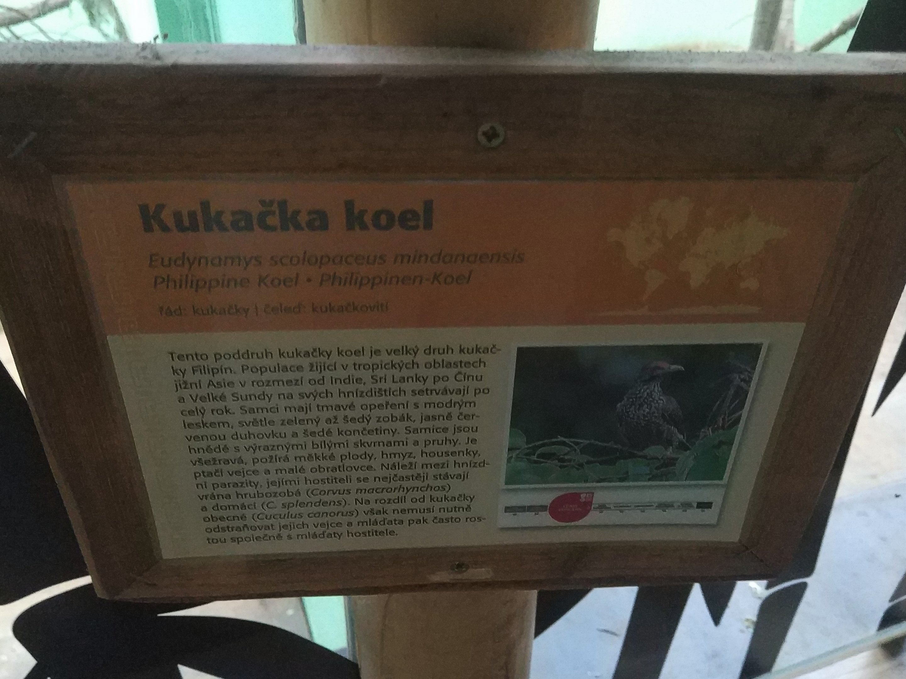 Koel Signage