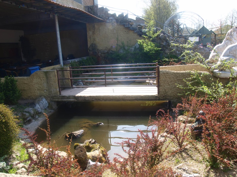 Koi and slider turtle pond in front of the restaurant (April 19th, 2015)