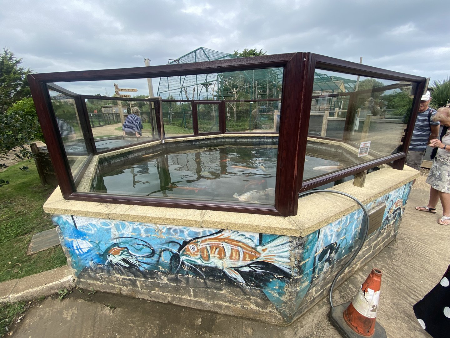 Koi carp pond 130923