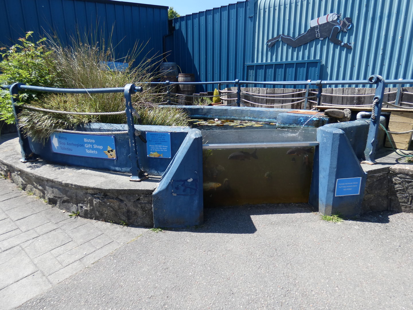 Koi exhibit - Anglesey Sea Zoo