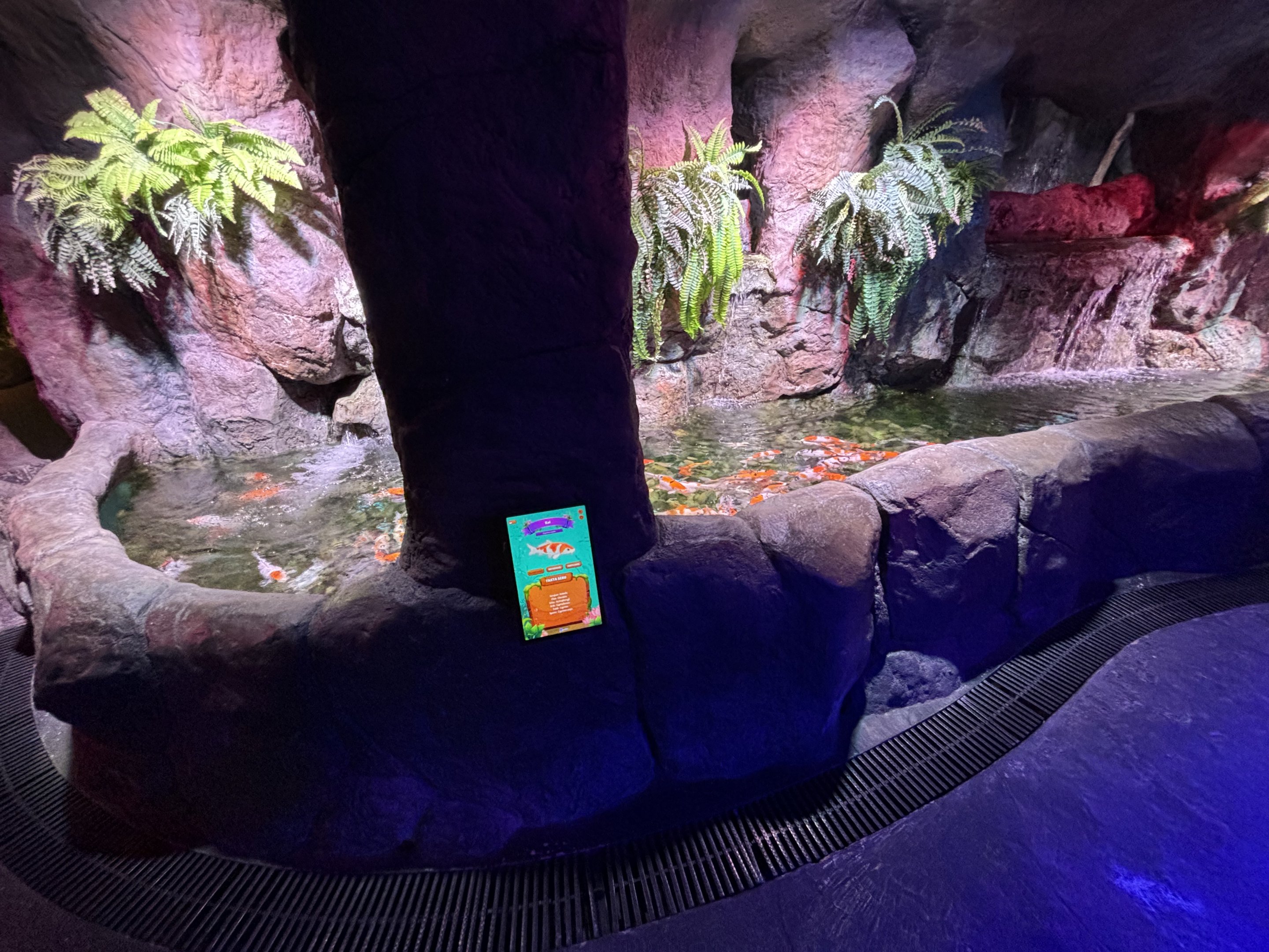 Koi Exhibit - BXSea Aquarium