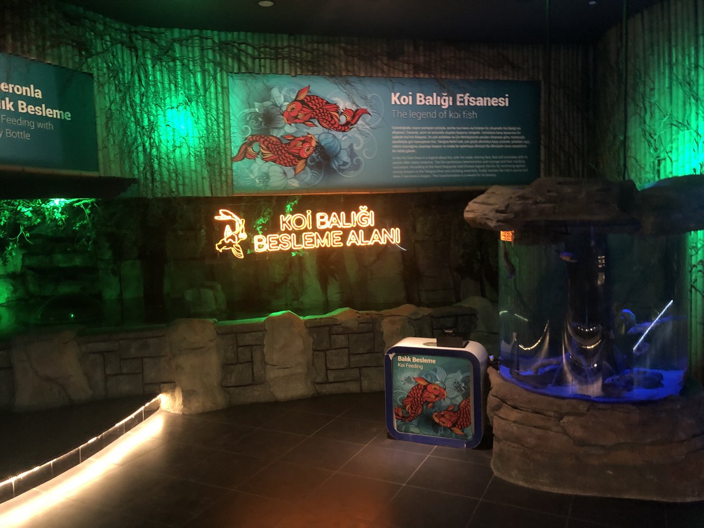 Koi Feeding Area at ViaSea Aquarium