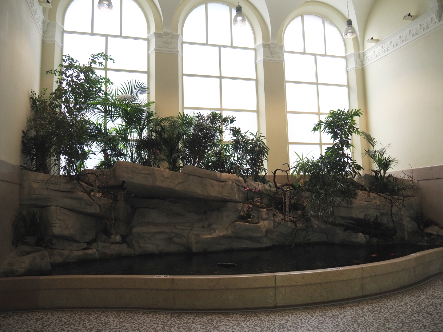 Koi pond in the entrance hall of the aquarium, 2020-06-28