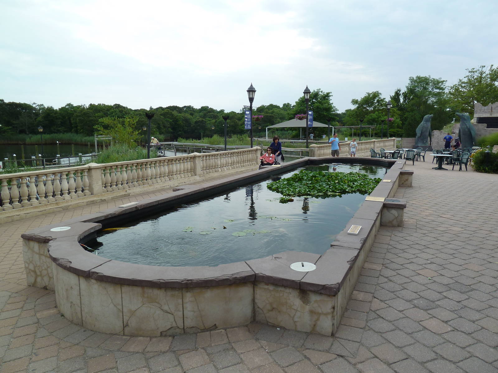 Koi Pond (With Penguin Pavilion statues in the distance)