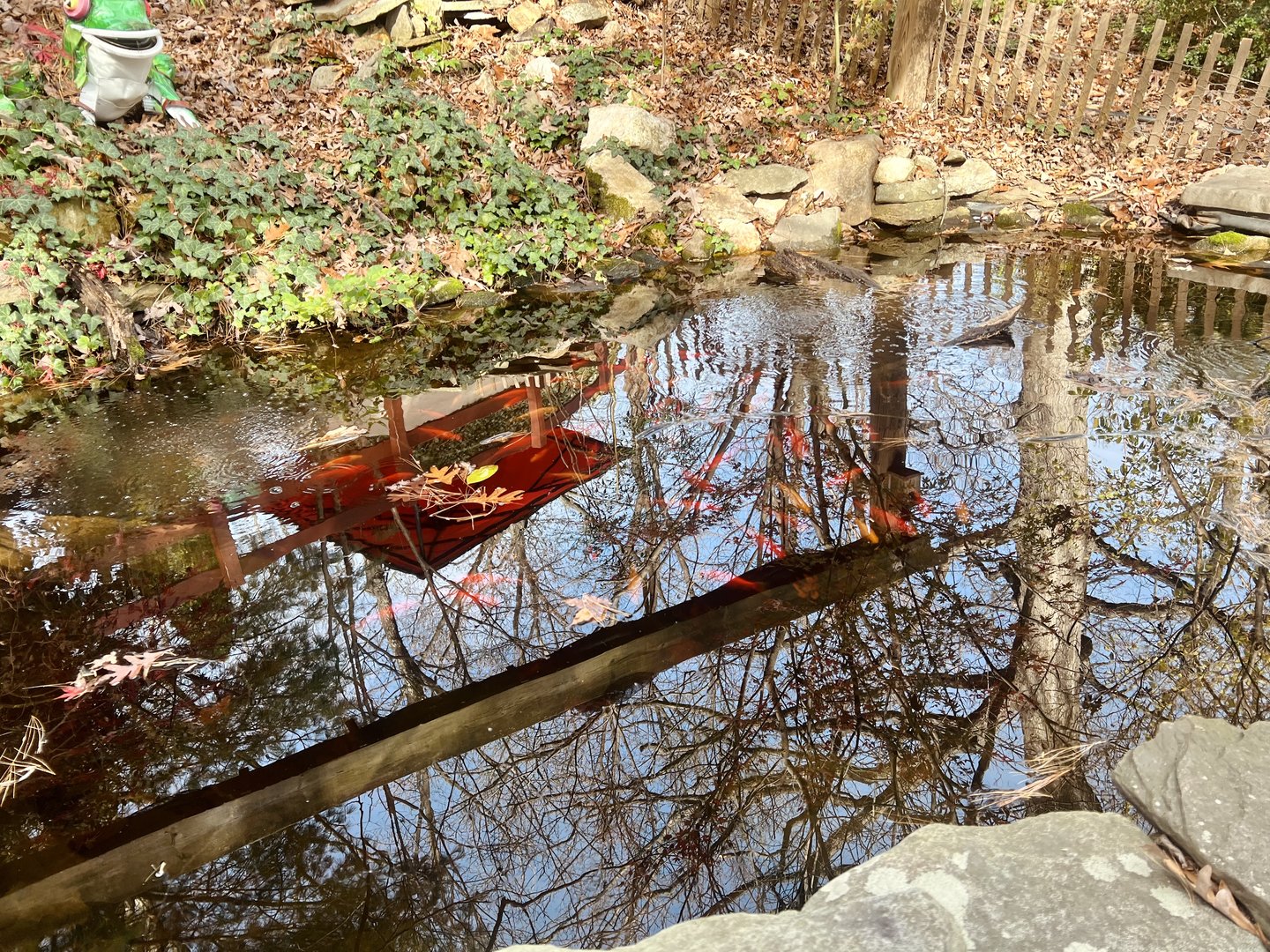 Koi Pond