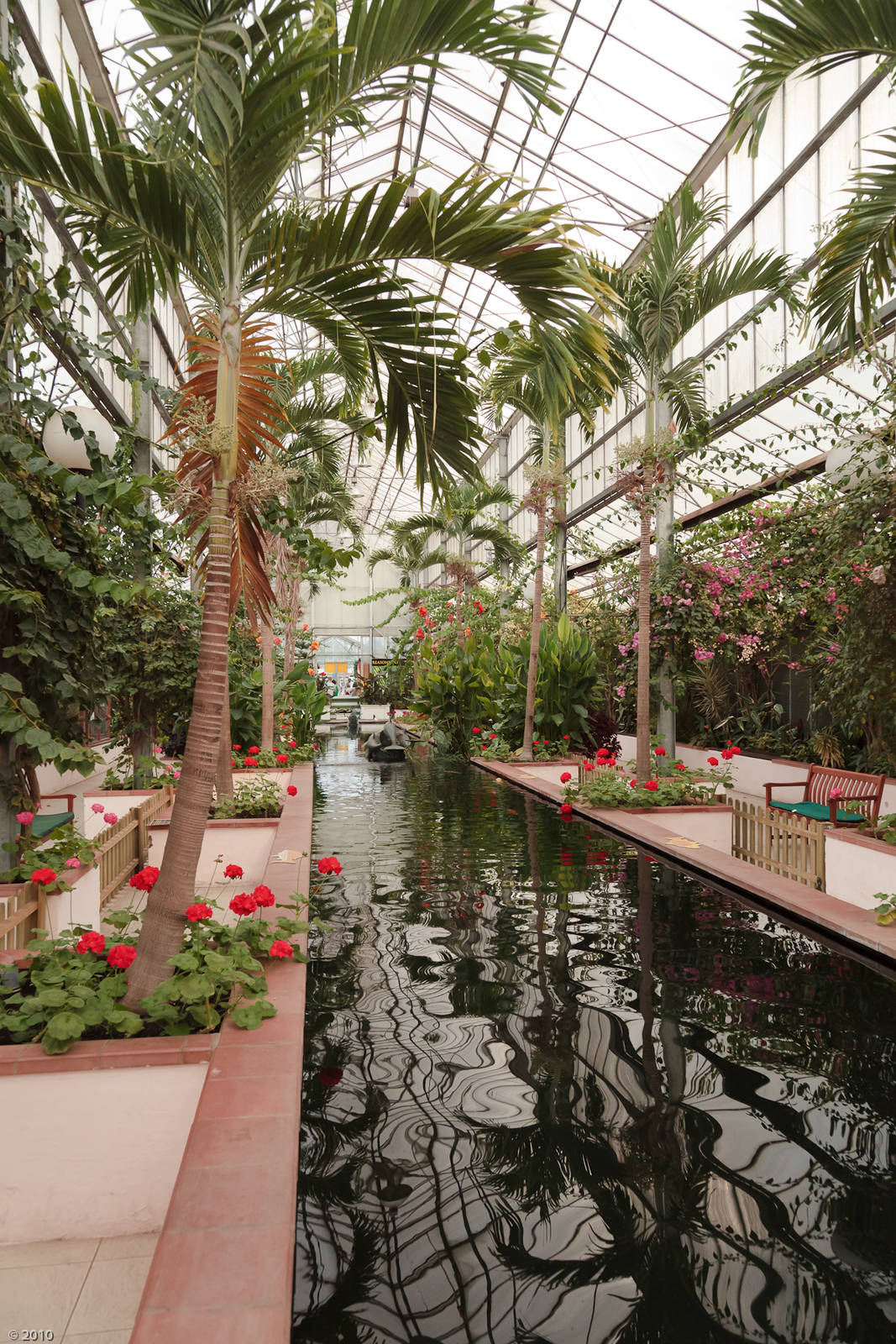 Koi Pool - Closing Day - 05/09/2010