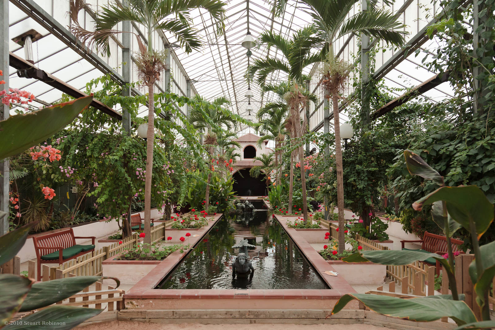 Koi Pool - Closing Day - 05/09/2010