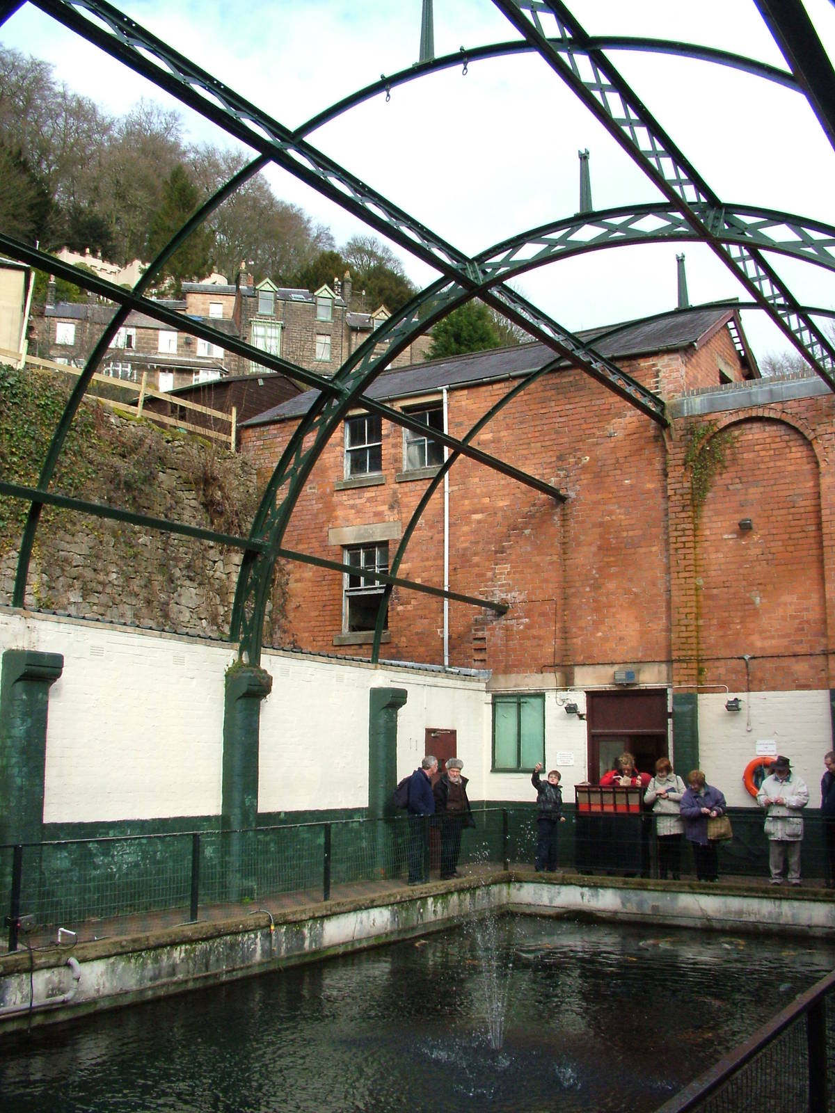 Koi Pool in Victorian Baths at Matlock Bath Aquarium 14/02/10
