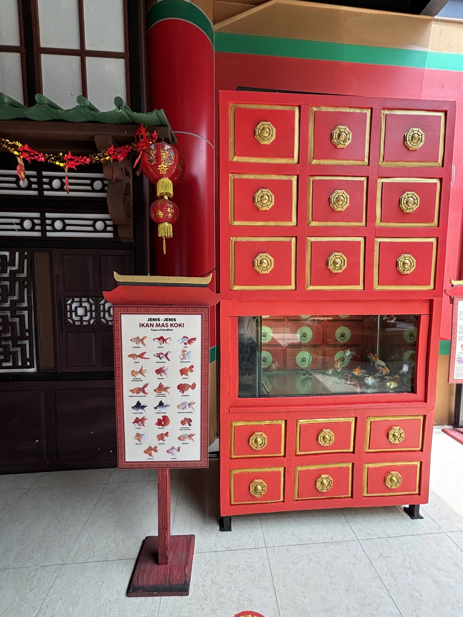 Koi Tank - Giant Panda Complex