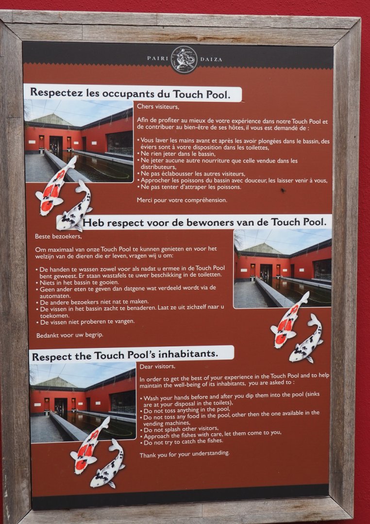 Koi touch pond rules signage, 2020-09-03