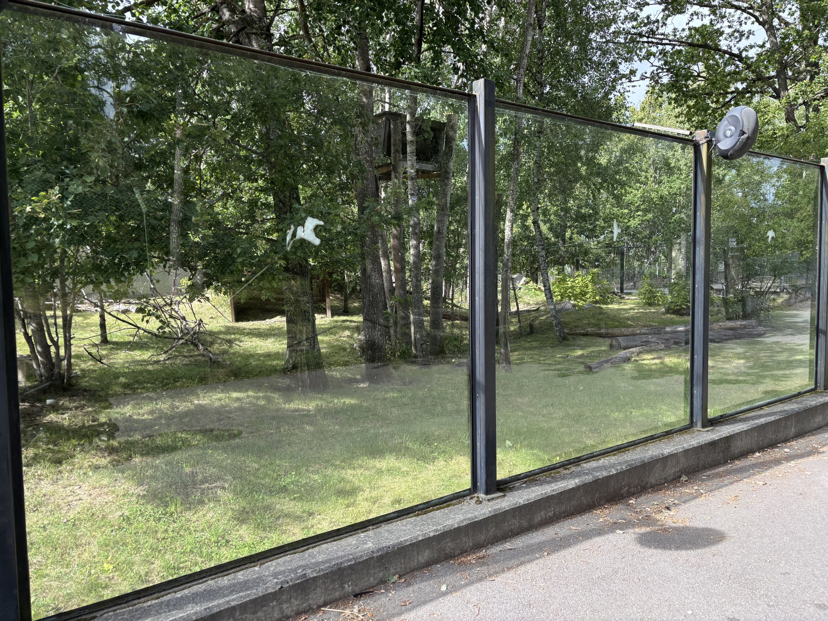 Kokosolja dragon outdoors