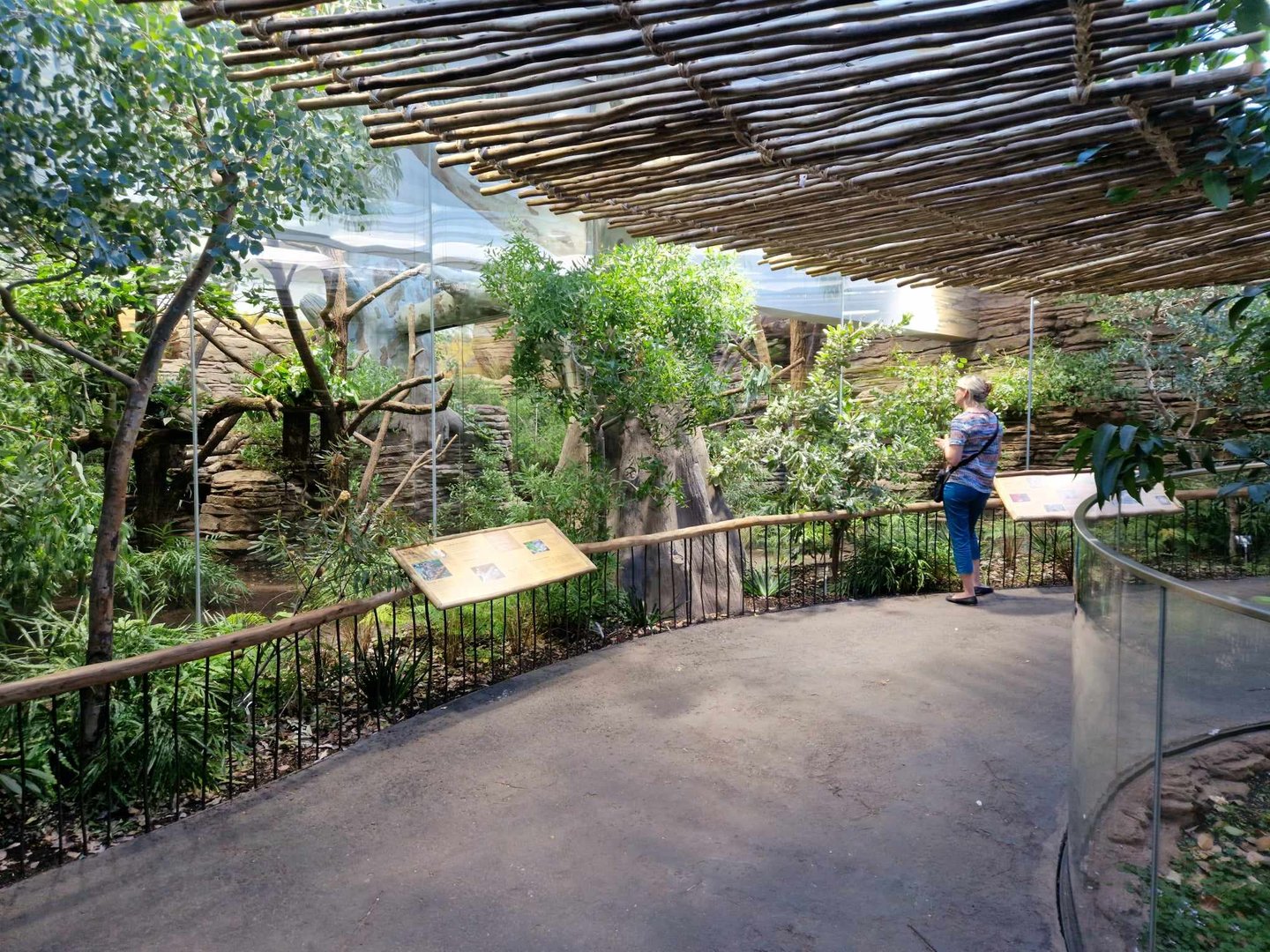 Kola 2 exhibits, Terra Australis