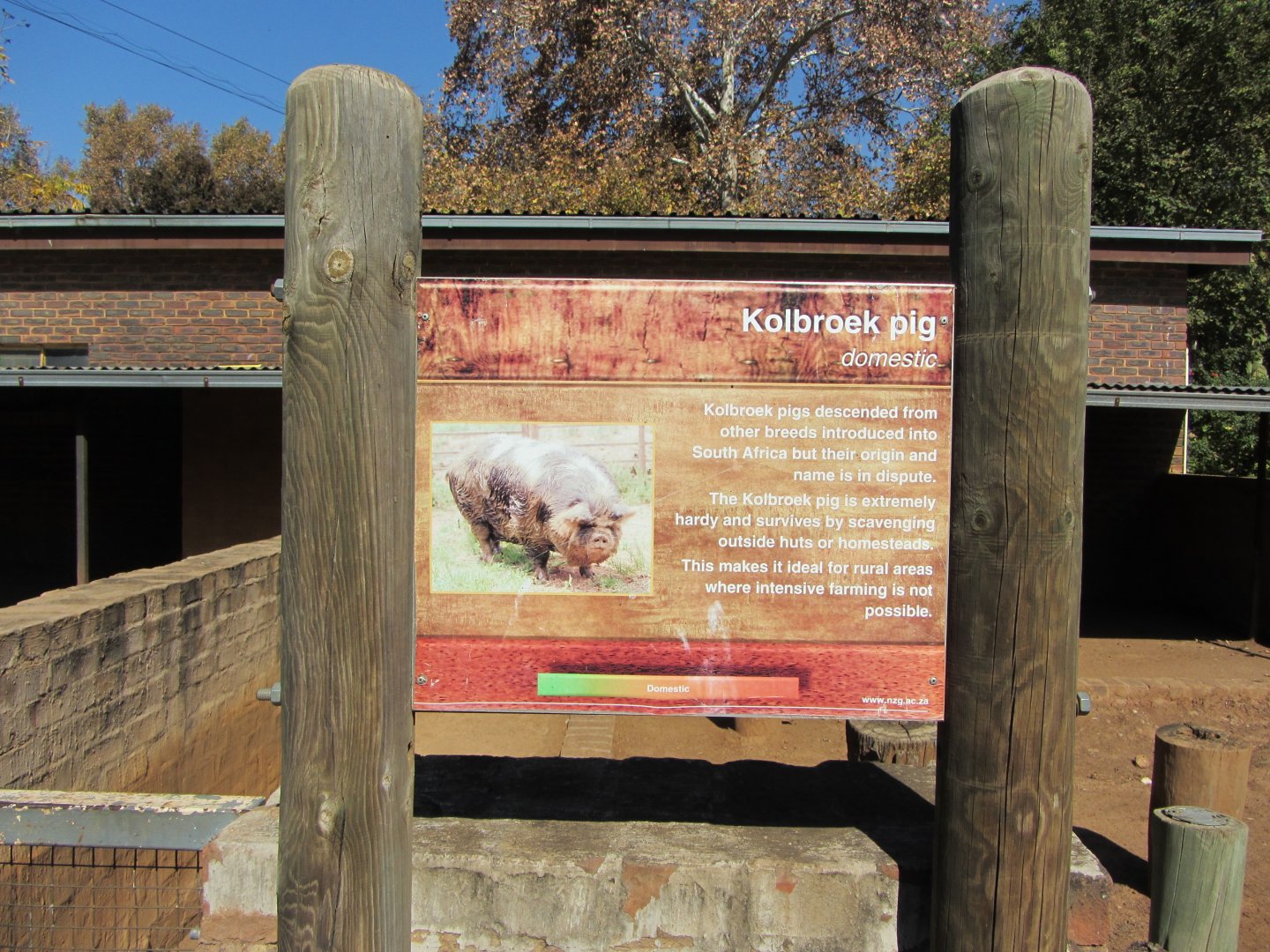 Kolbroek Pig Signage