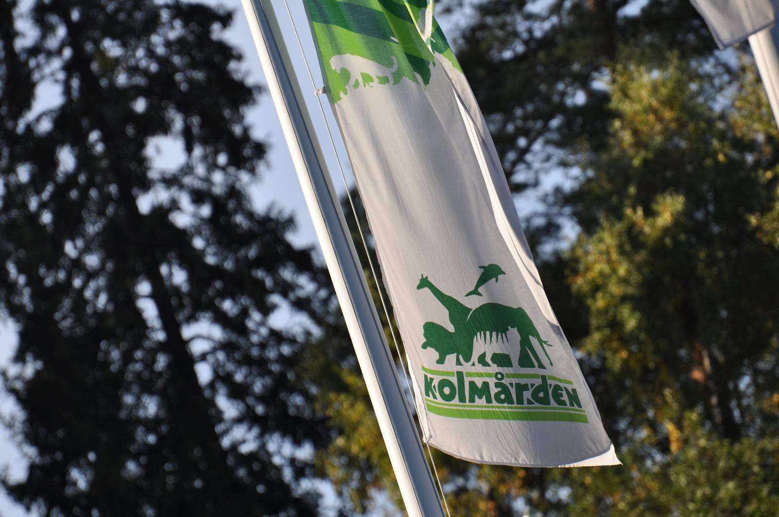 Kolmården - flag