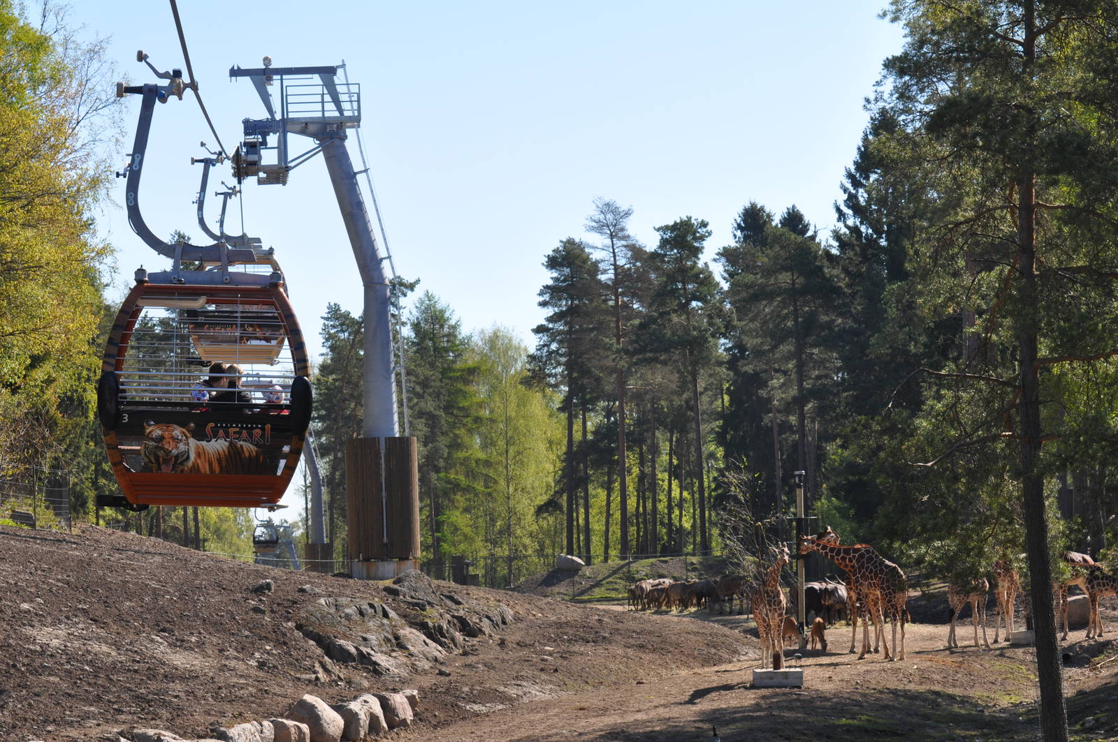 Kolmården Safari - Savanna