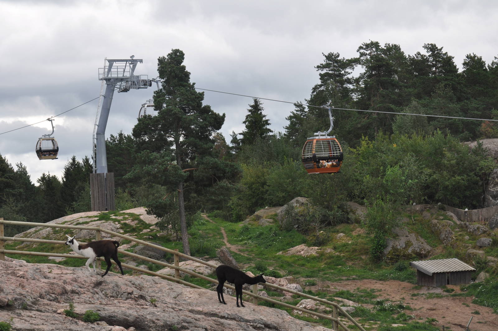 Kolmården Safari