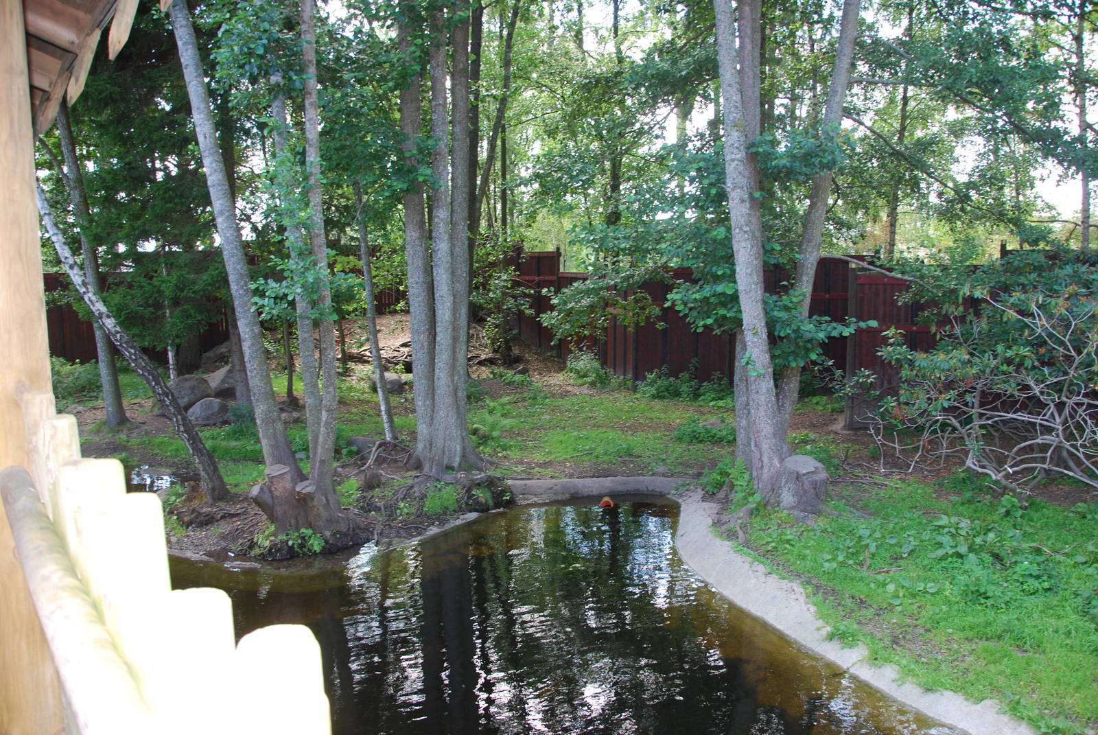 Kolmården Wildlife Park -Dhole exhibit