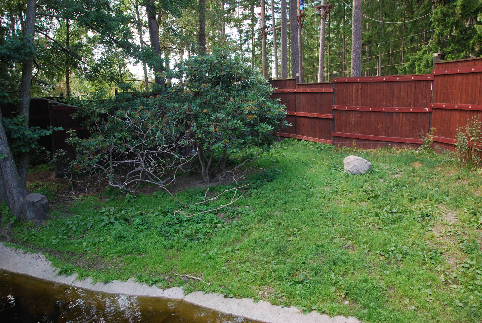 Kolmården Wildlife Park -Dhole exhibit