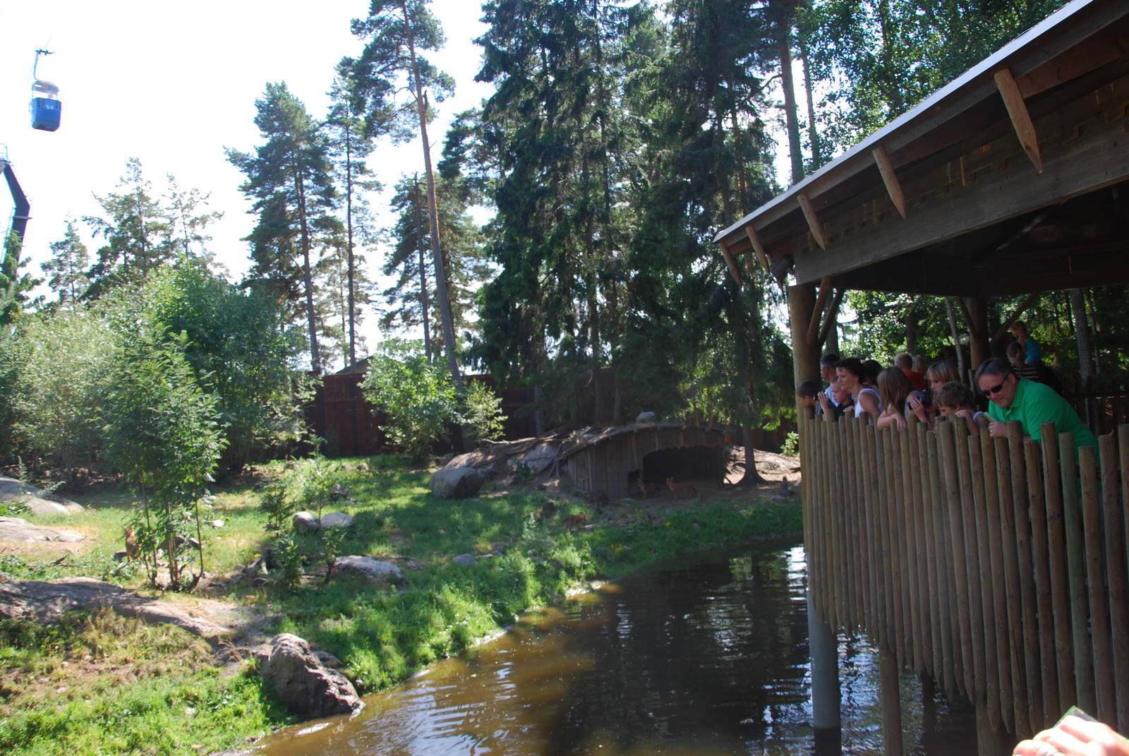 Kolmården Wildlife Park -Dhole exhibit