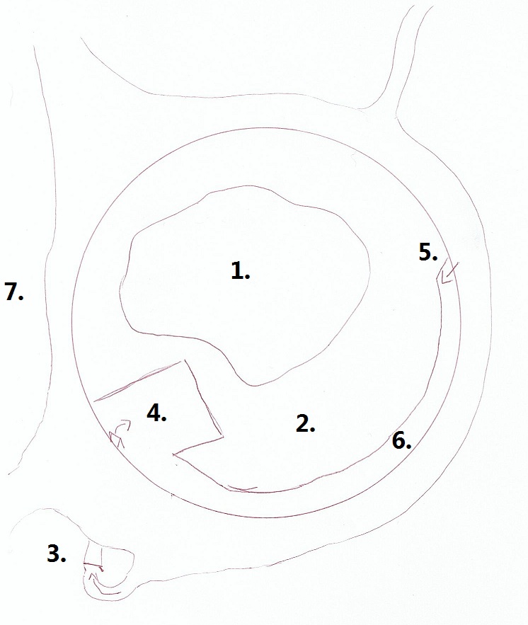 Kolmården Wildlife Park - Snow leopard enclousure map