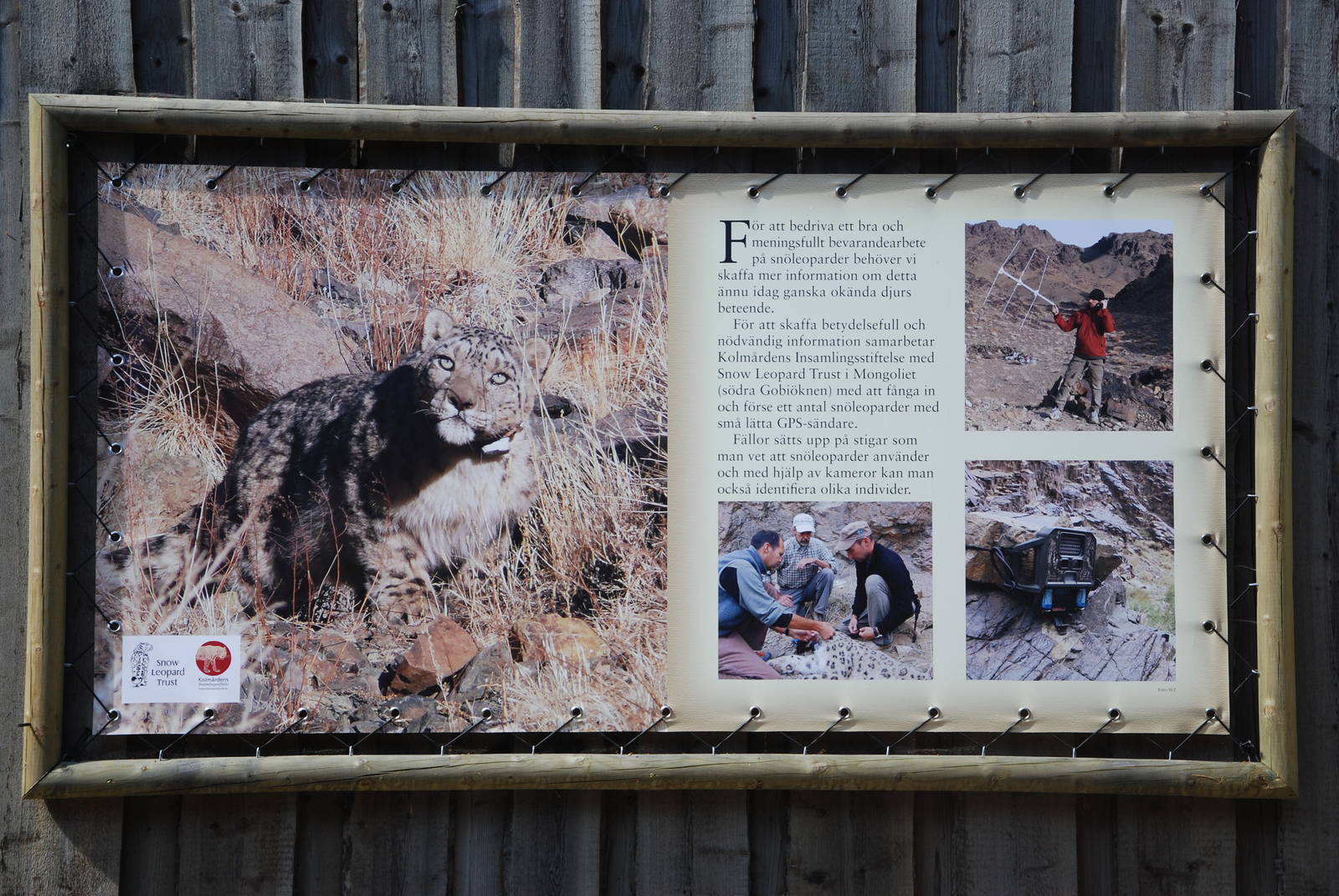 Kolmården Wildlife Park -Snowleopard sign