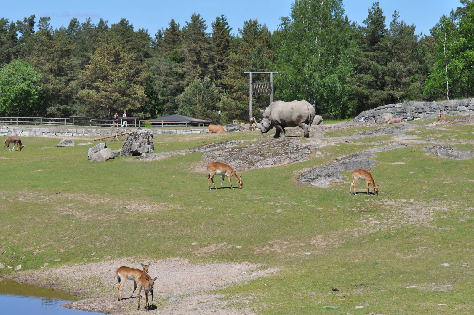 Kolmården Wildlife Park - Zoo Savannah