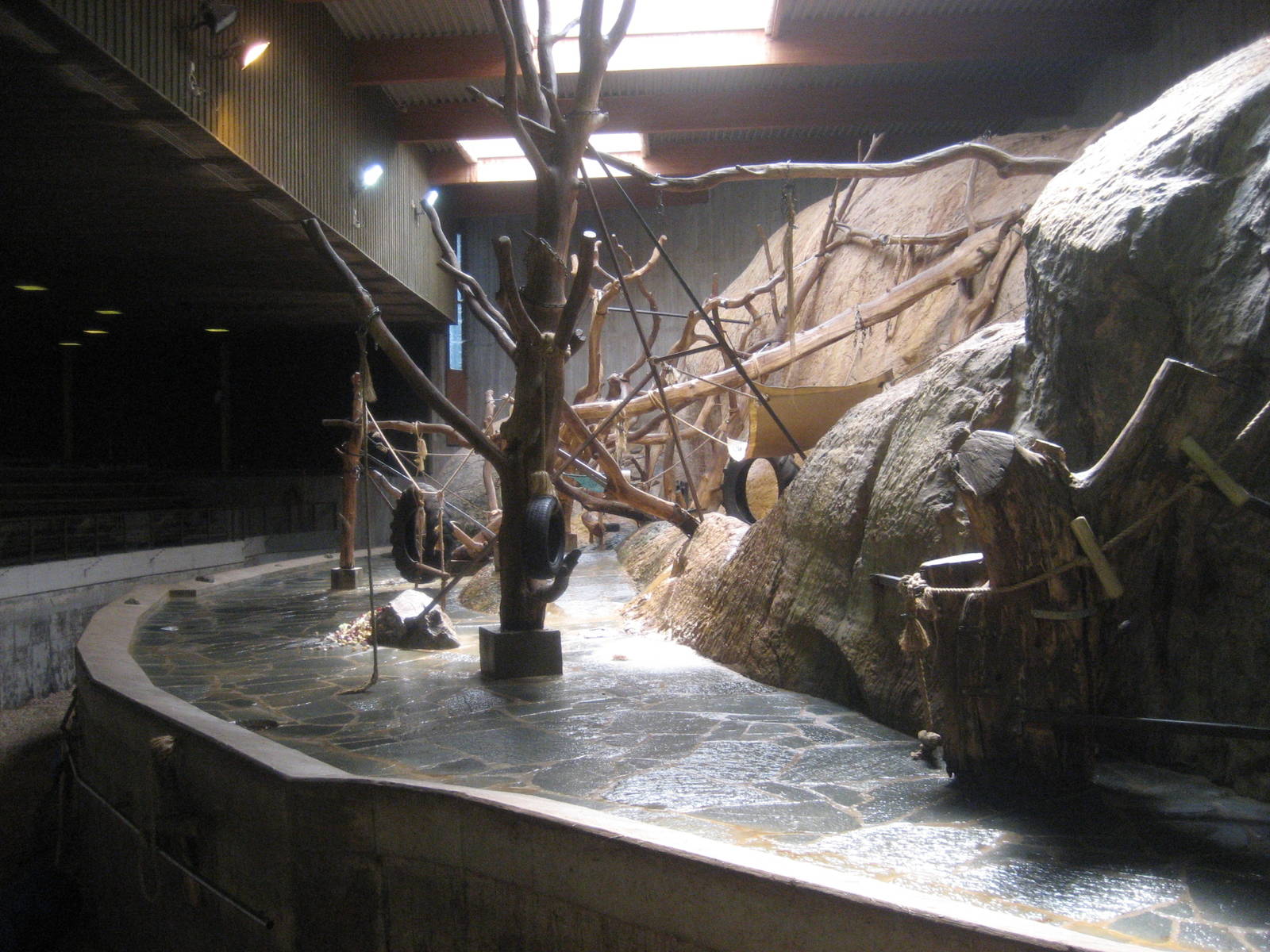 Kolmården Zoo - Chimpanzee indoor exhibit