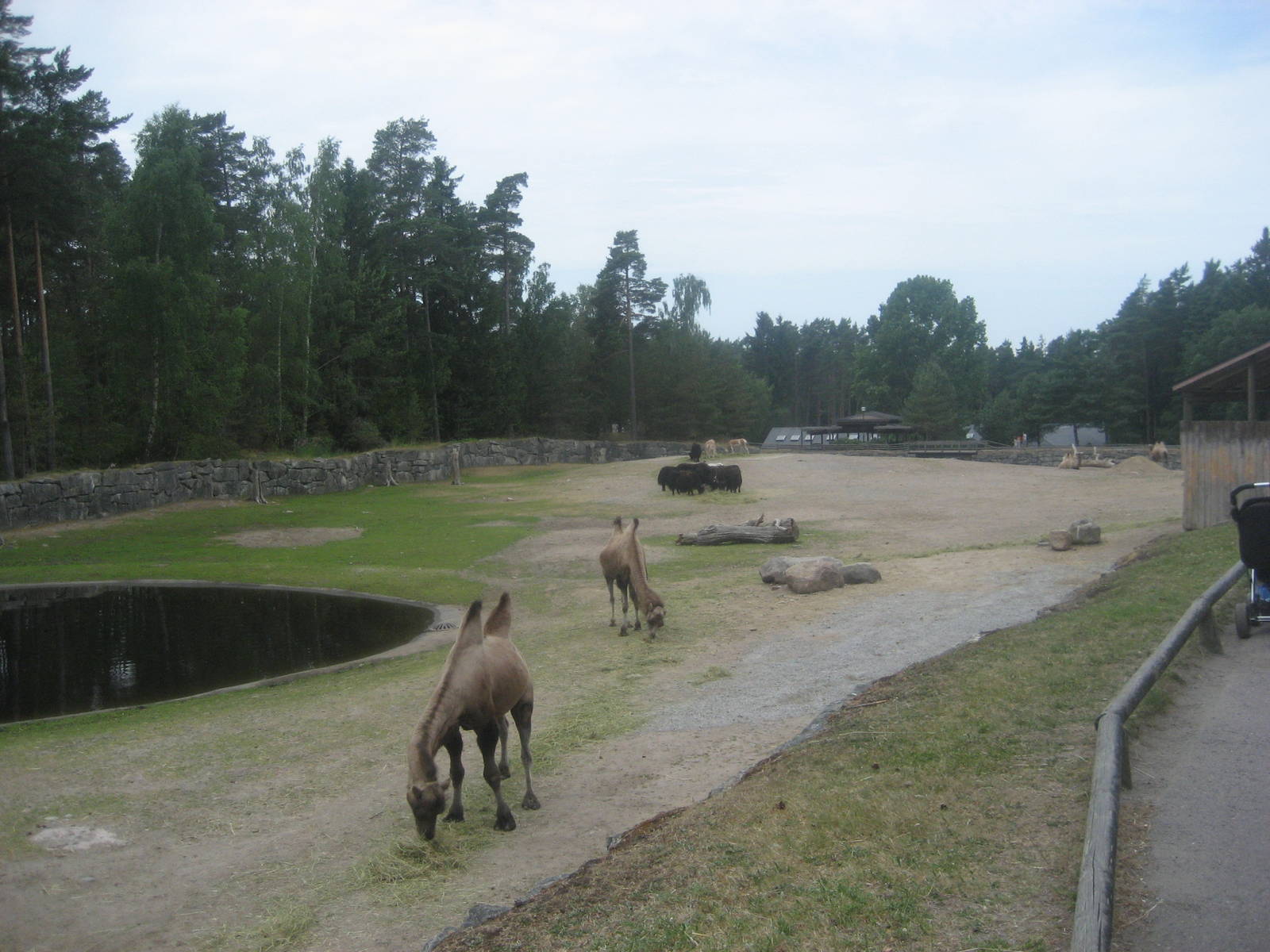 Kolmården Zoo - Desert