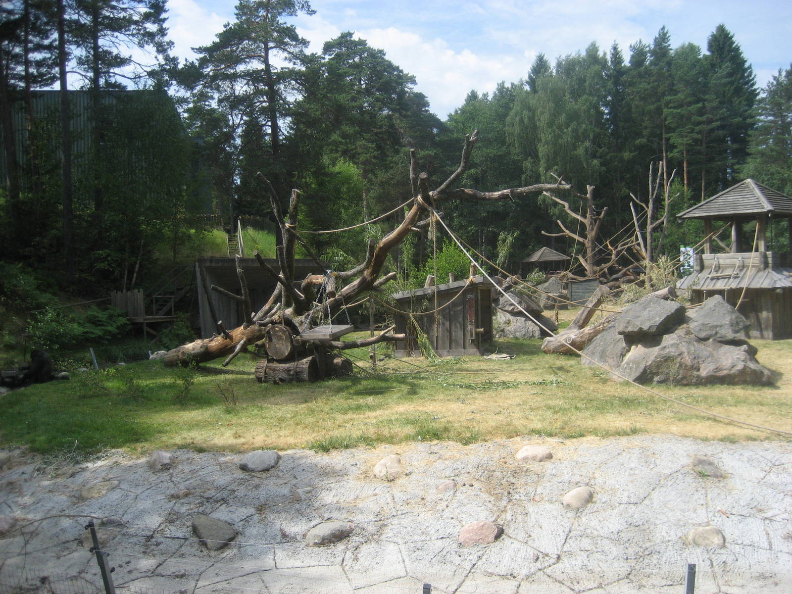 Kolmården Zoo - Gorilla exhibit