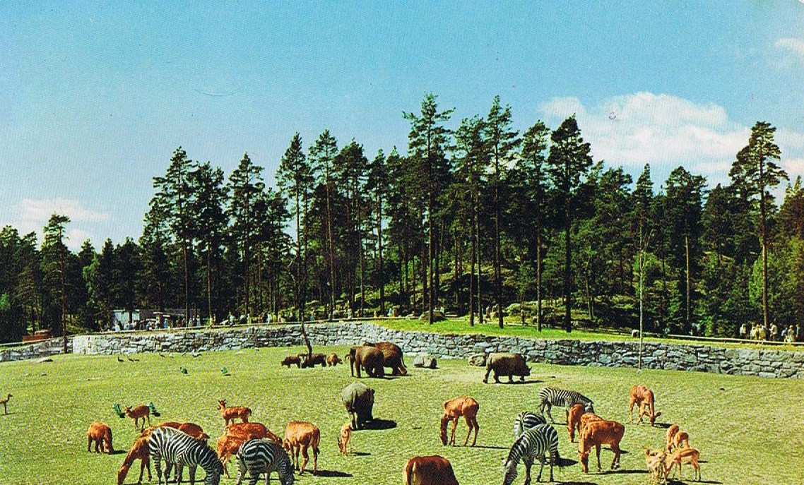 Kolmården Zoo, Historical Postcard