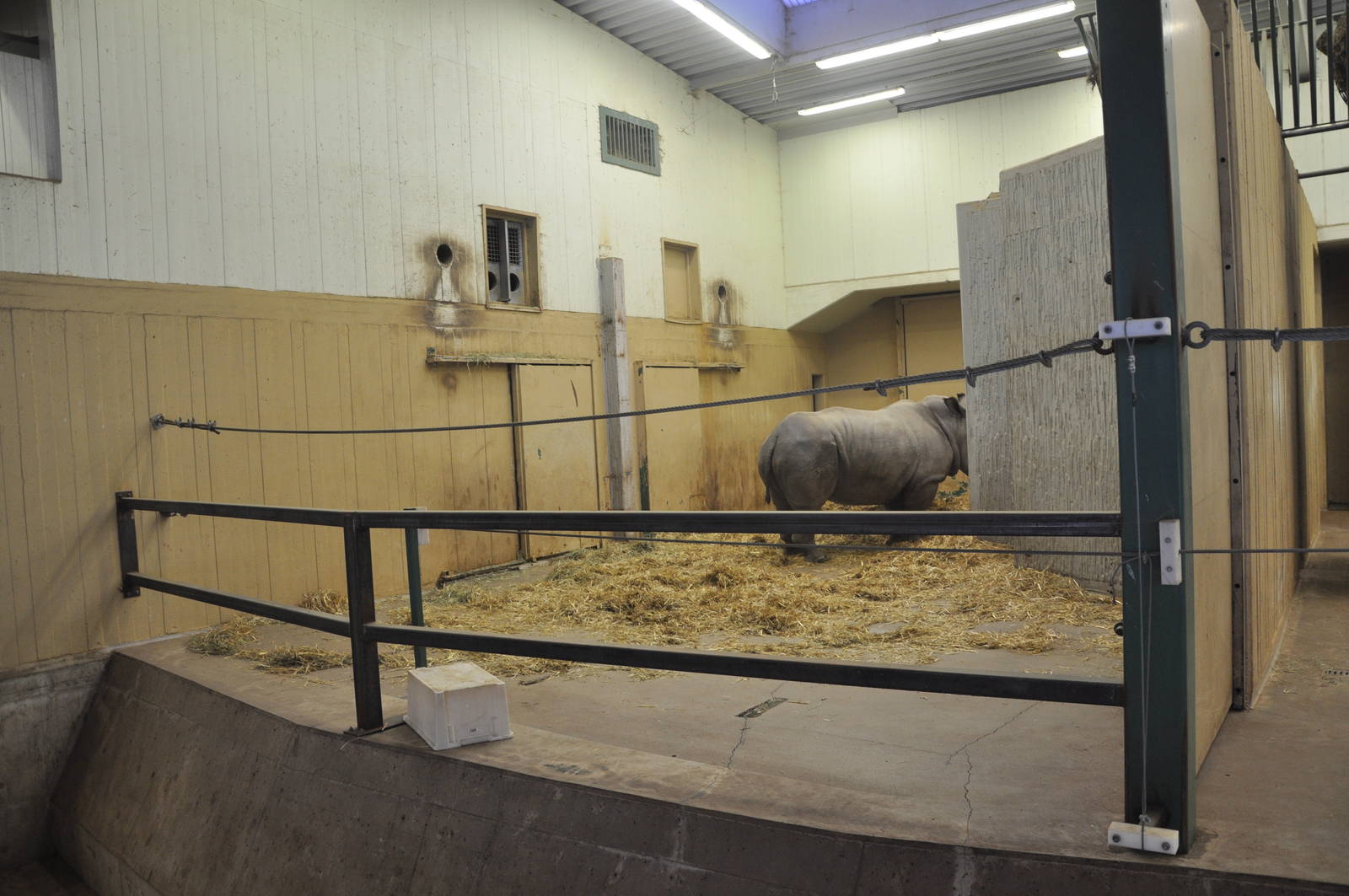 Kolmården Zoo Rhino Indoor Enclosure