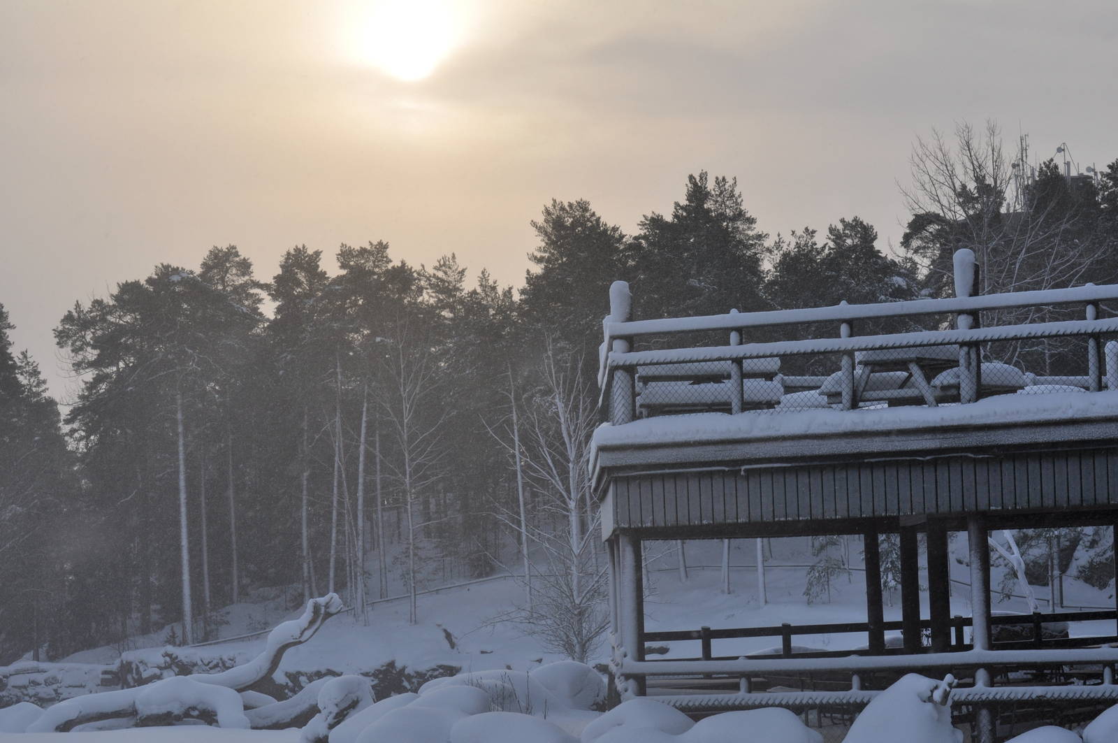 Kolmården Zoo Savanna