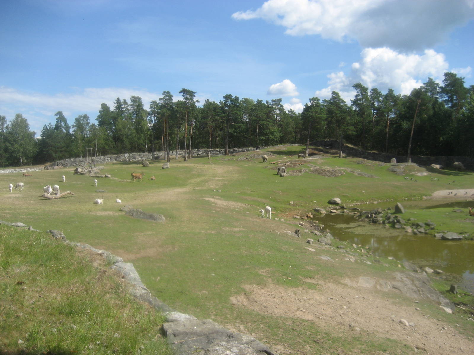 Kolmården Zoo - Savannah