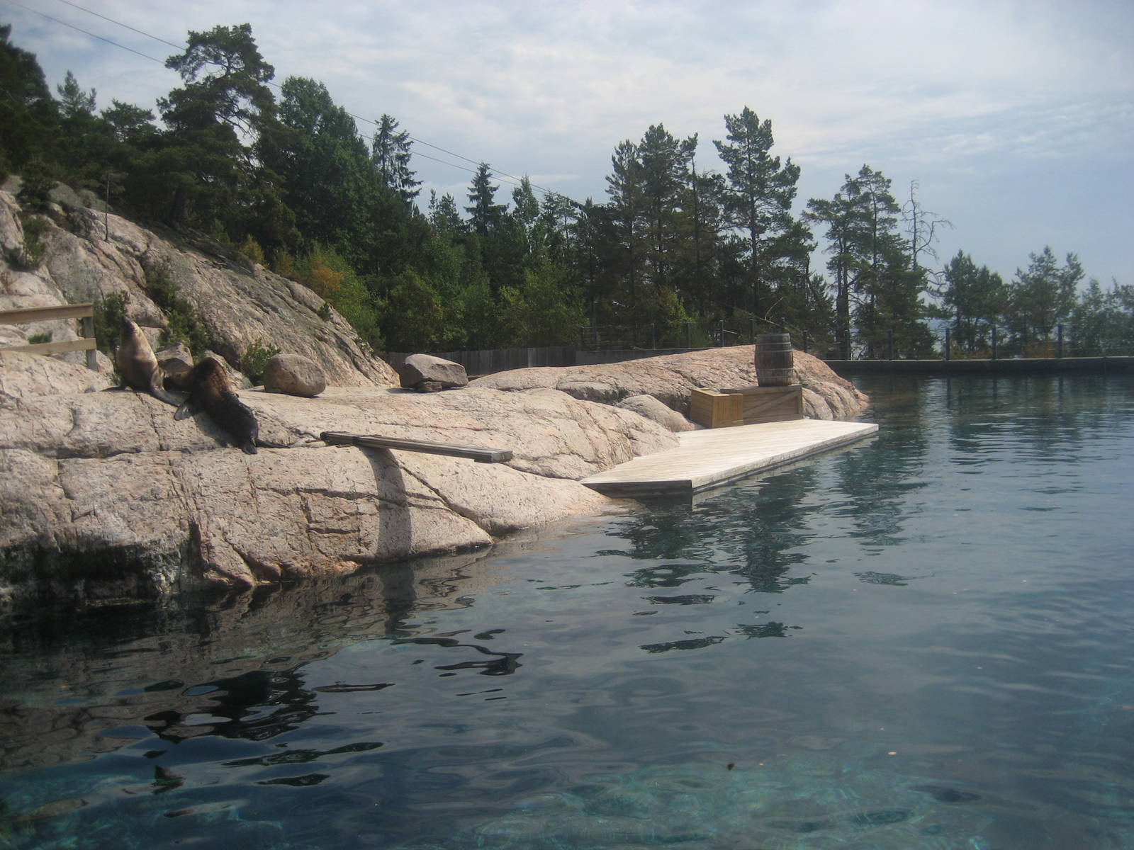 Kolmården Zoo - Seal exhibit