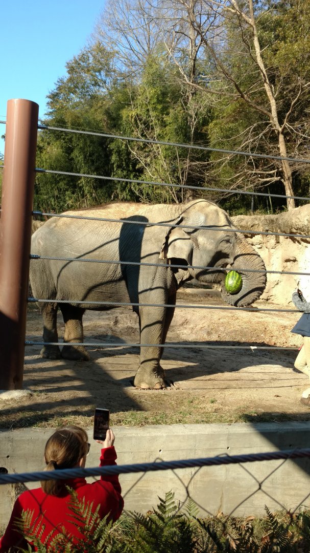 Komala celebrating her 45th birthday, 1/1/2020