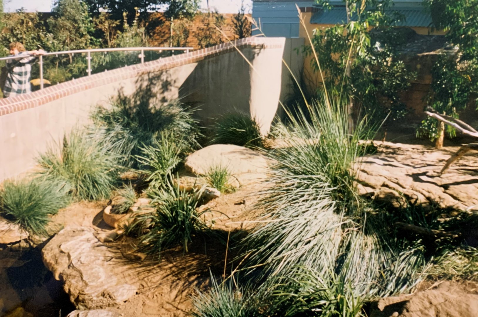 Komodo Dragon (1996)