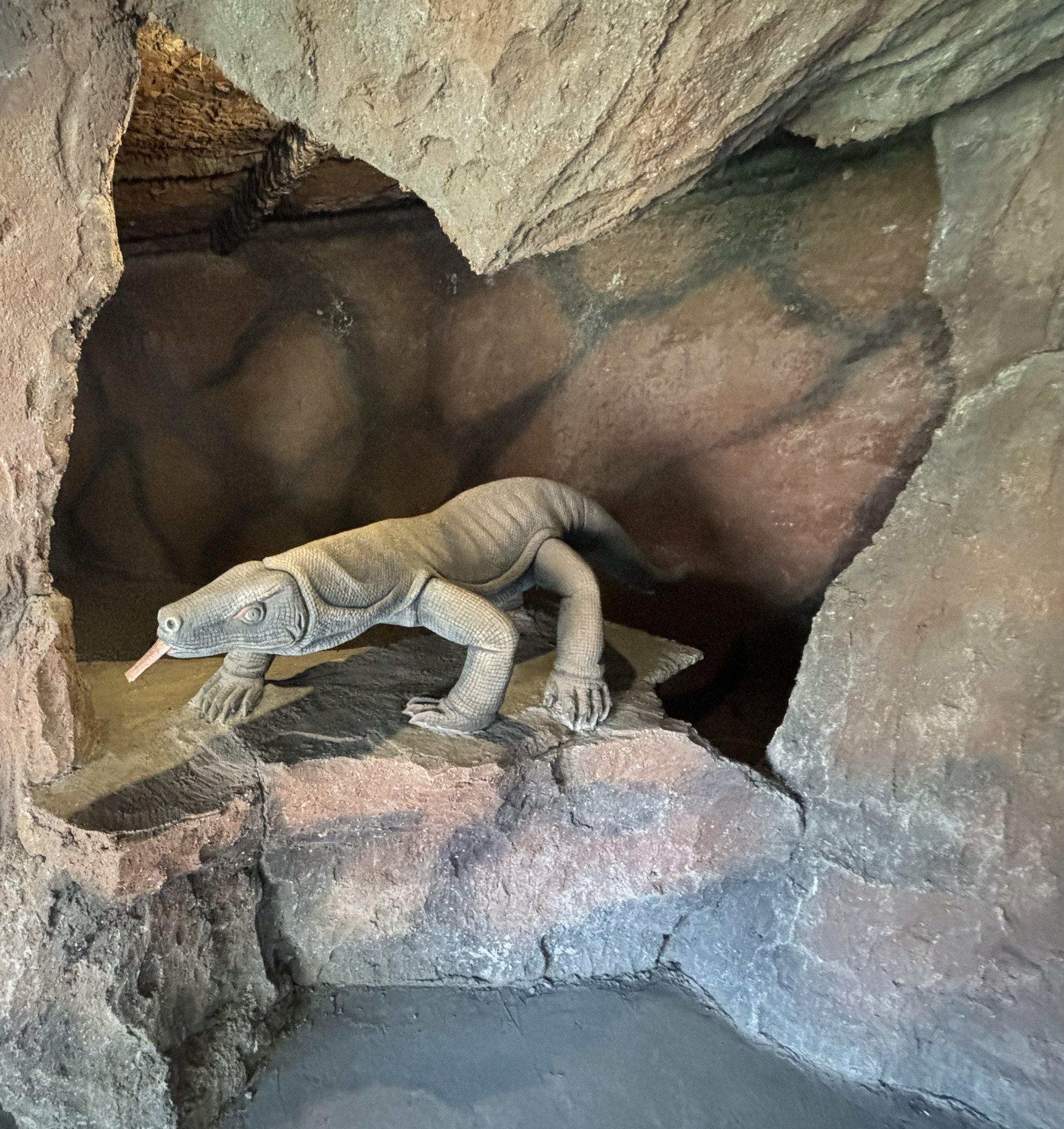Komodo Dragon Cave - Solo Safari
