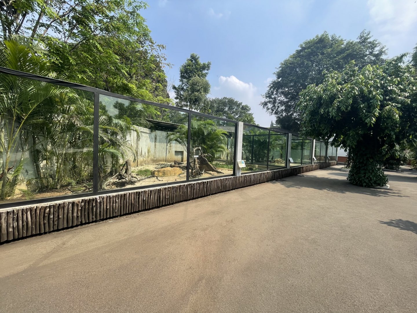 komodo dragon complex - museum komodo