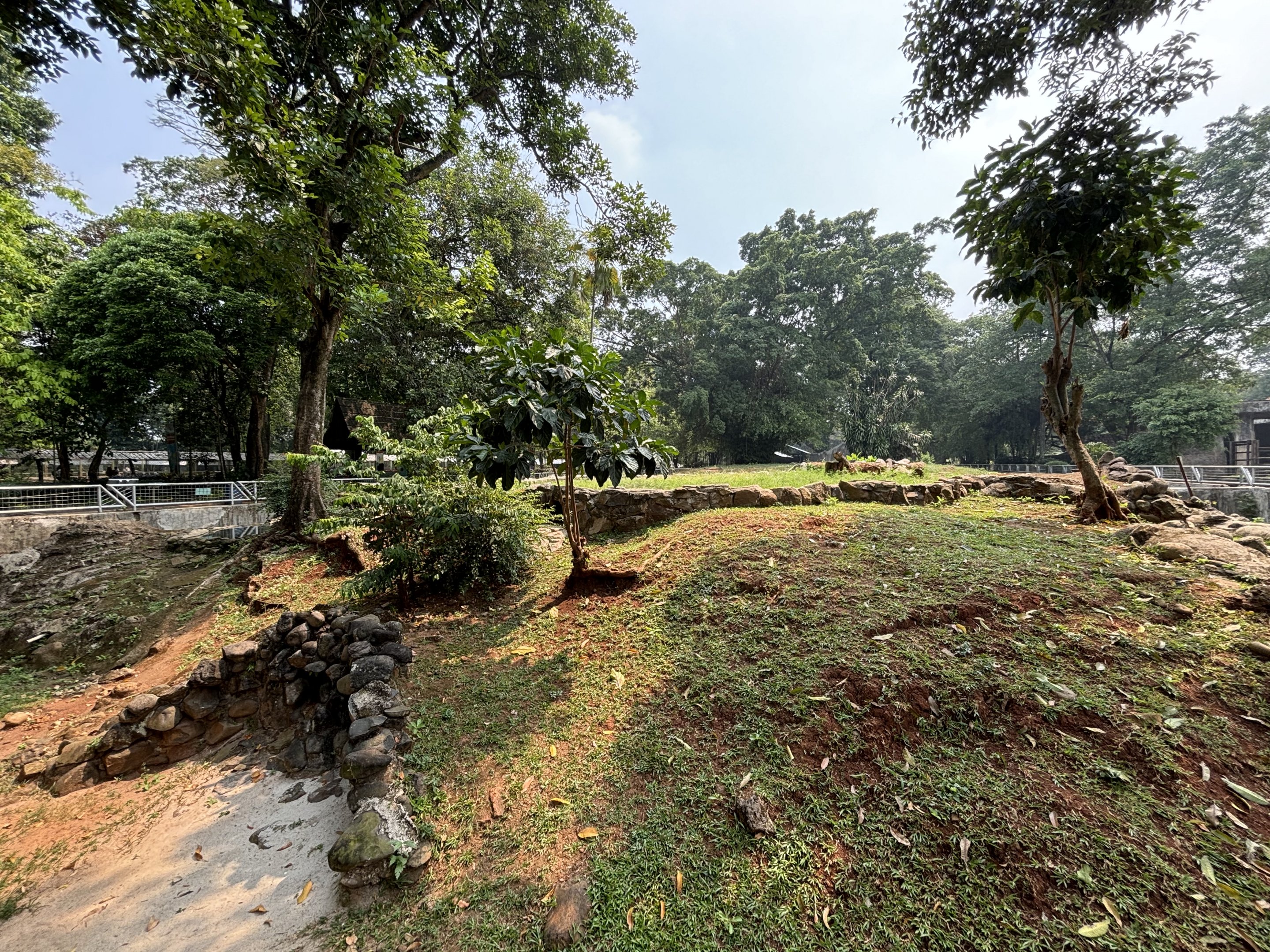 Komodo Dragon Complex - wow!