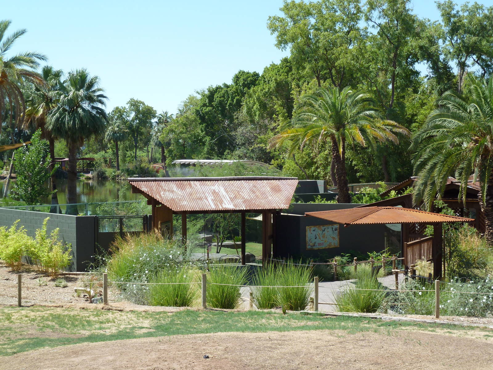 Komodo Dragon Complex