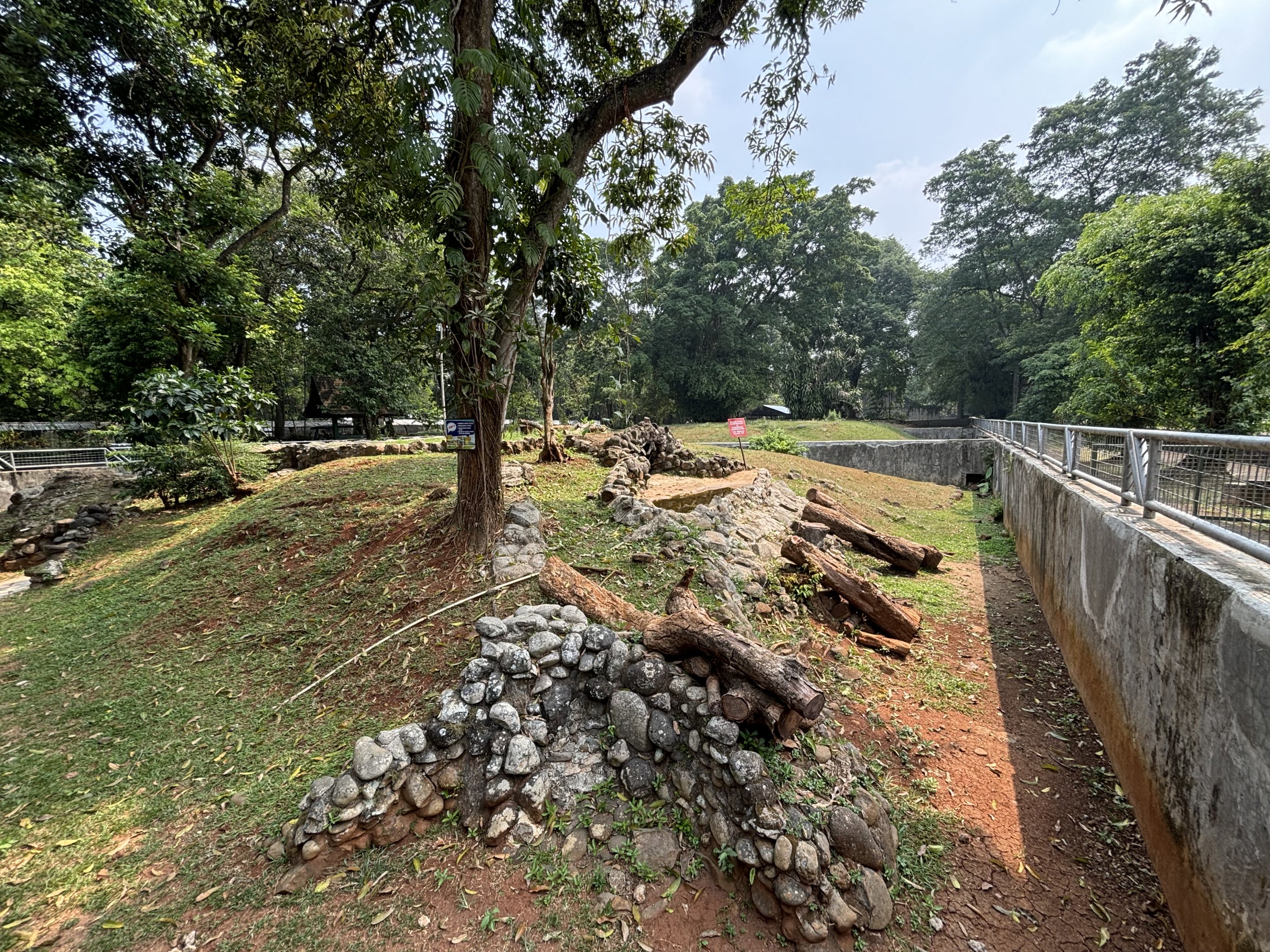 Komodo Dragon Complex