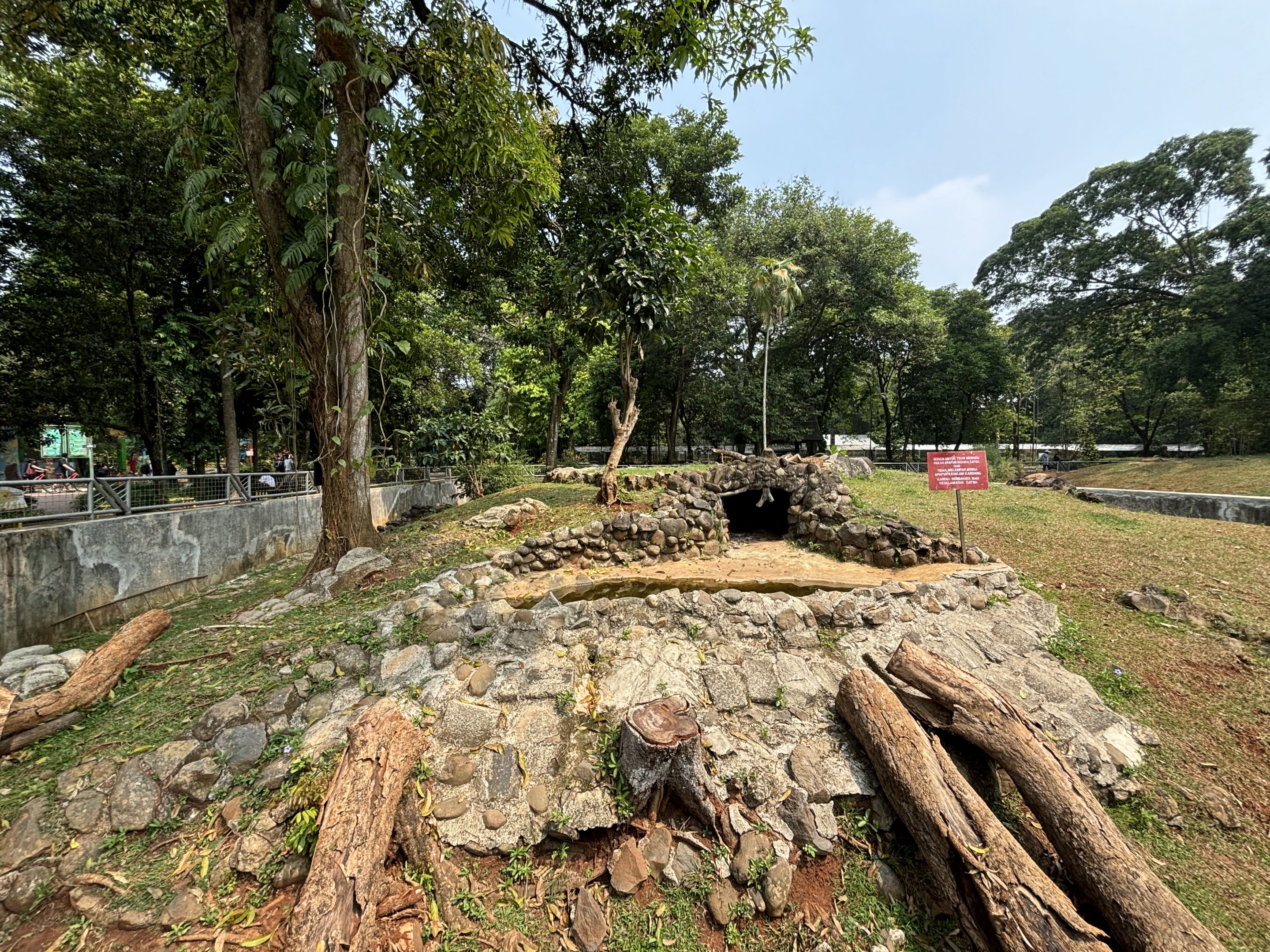 Komodo Dragon Complex